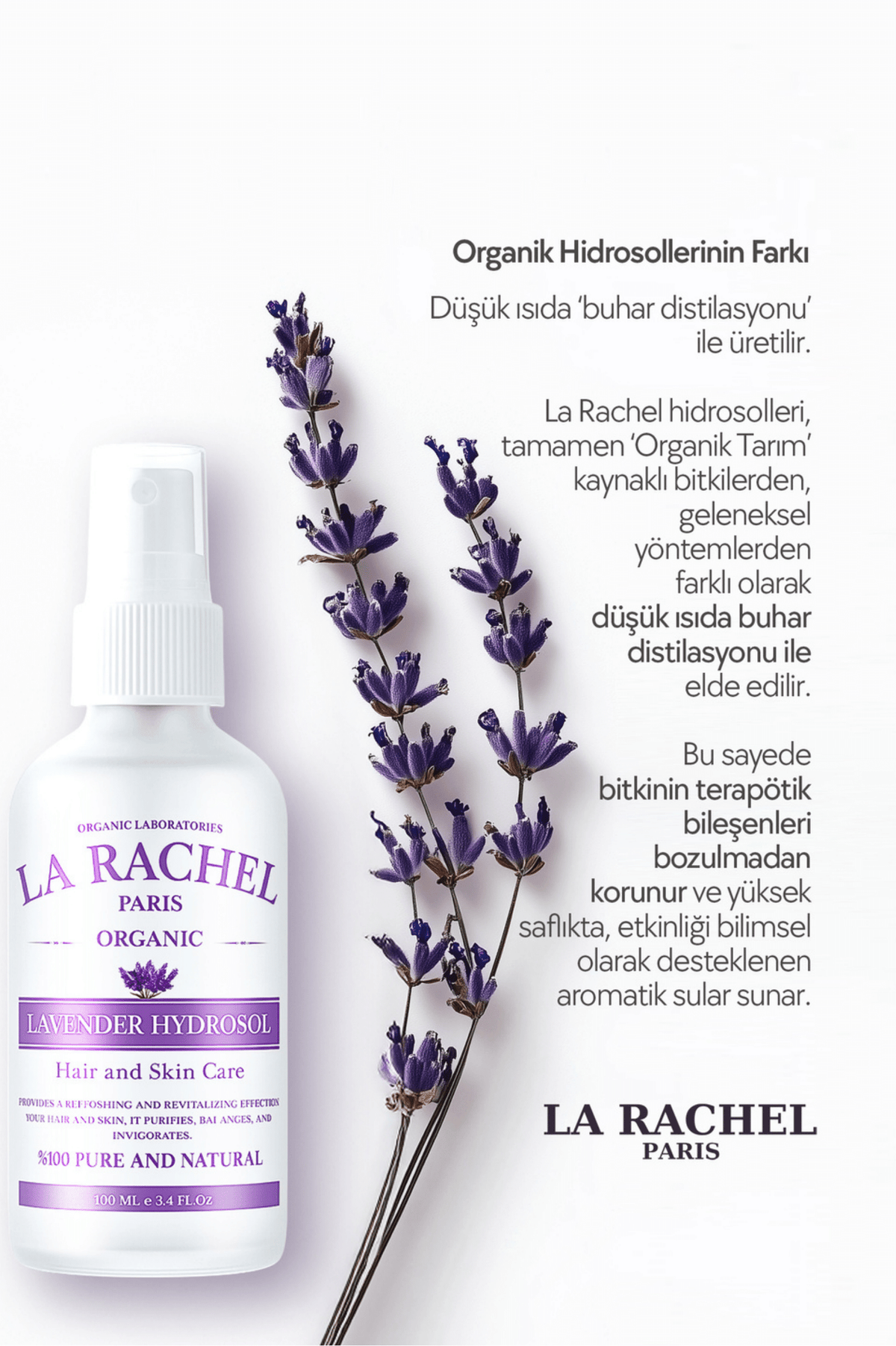 Organik hidrosol bakımında La Rachel lavanta suyu bilgi görseli