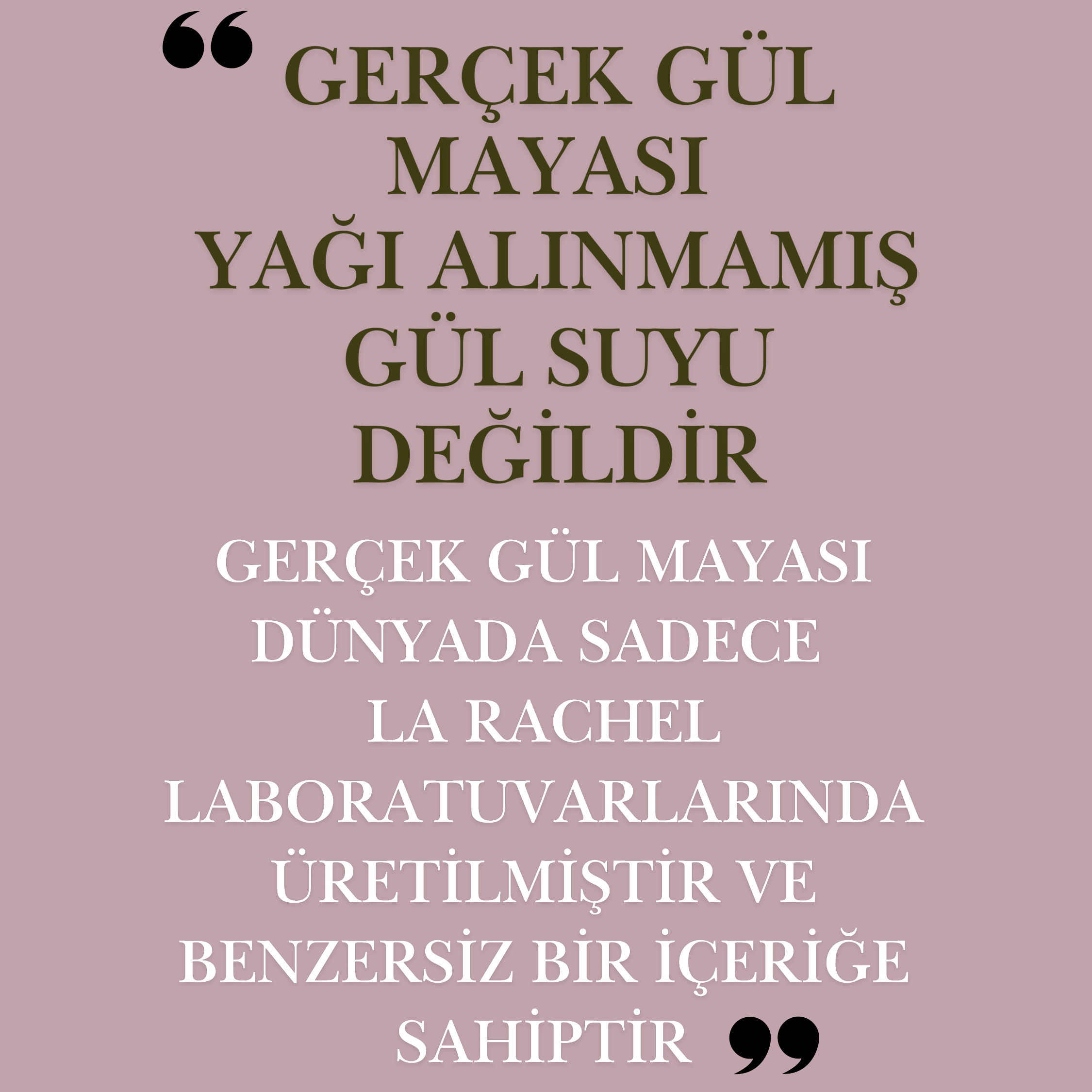 Anti-aging krem ve serumlarda aktif bileşen olarak kullanılan gül mayası.