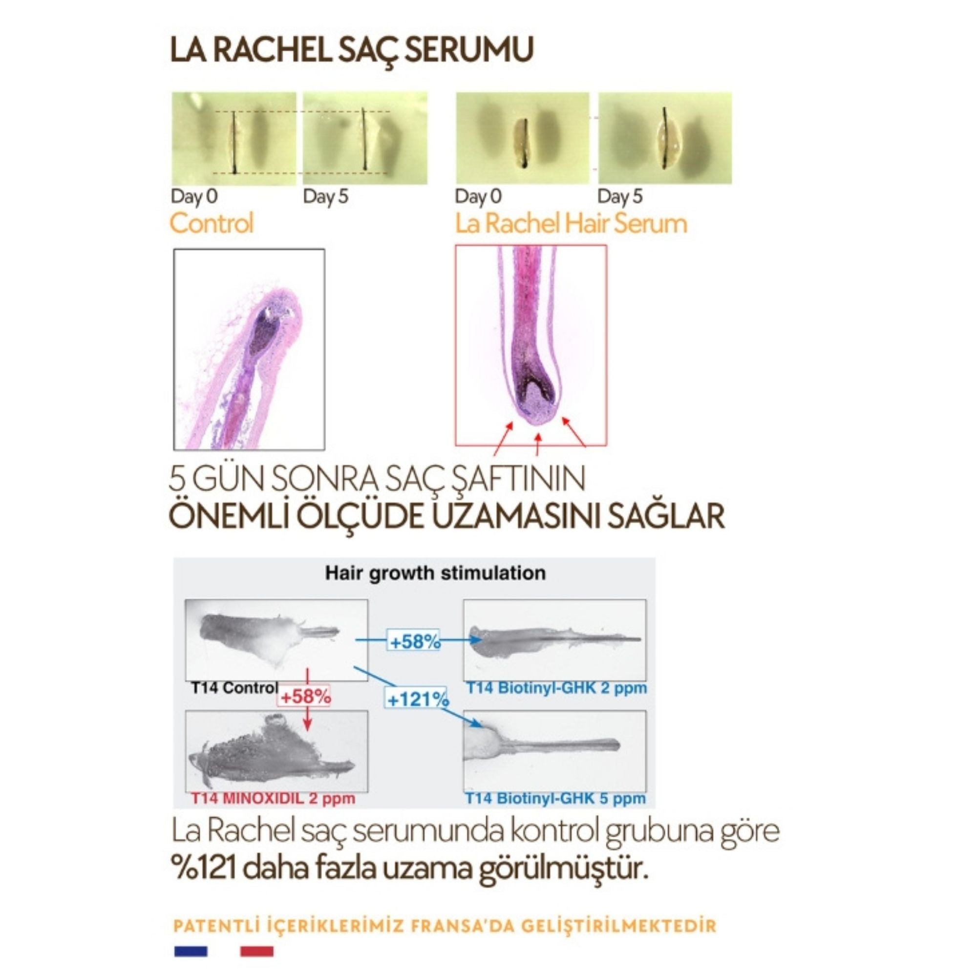 Saç tellerini besleyen ve saç dökülmesini önlemeye yardımcı La Rachel serum